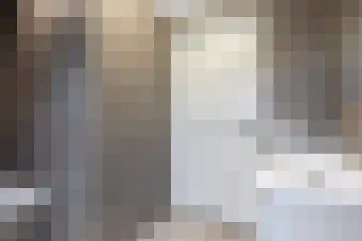 't Achterom 5 Sint-Oedenrode thumbnail 71
