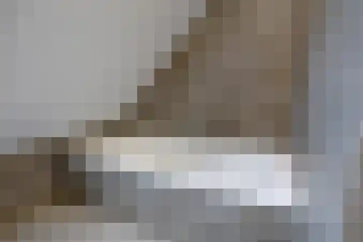 't Achterom 5 Sint-Oedenrode thumbnail 72