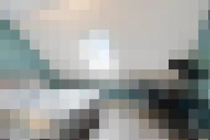 't Achterom 5 Sint-Oedenrode thumbnail 76