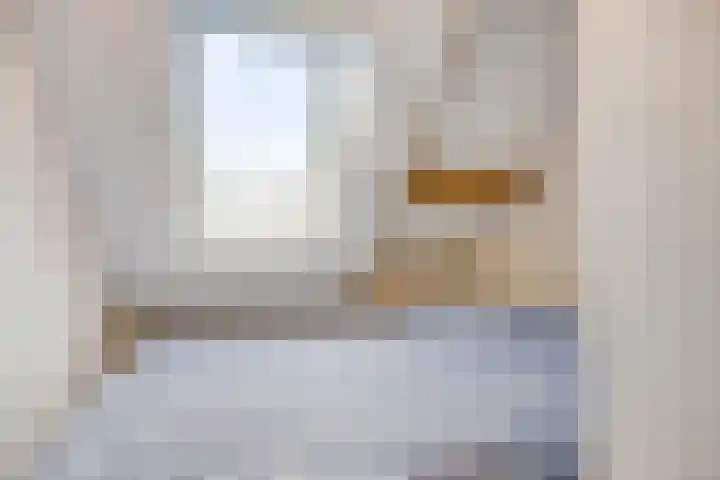 't Achterom 5 Sint-Oedenrode thumbnail 78