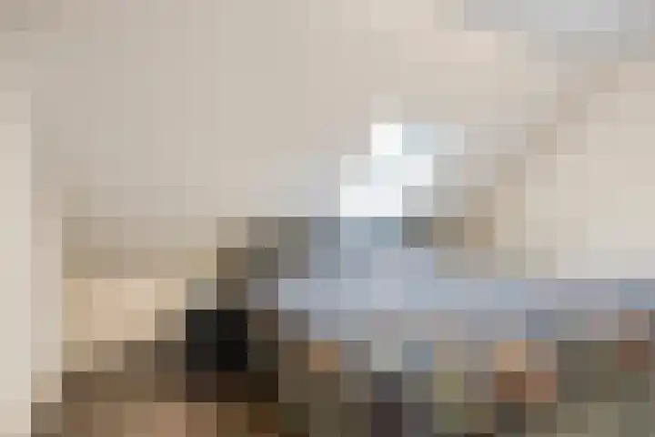 't Achterom 5 Sint-Oedenrode thumbnail 8