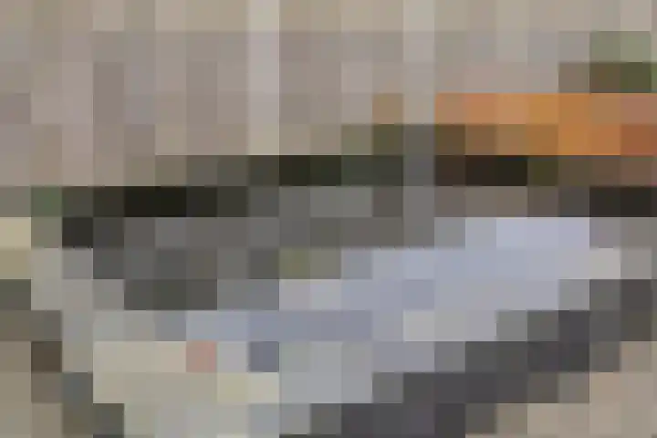 't Achterom 5 Sint-Oedenrode thumbnail 83