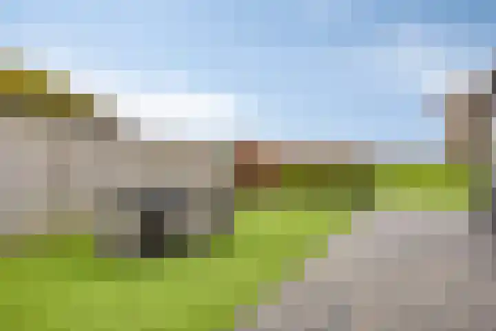 't Achterom 5 Sint-Oedenrode thumbnail 85