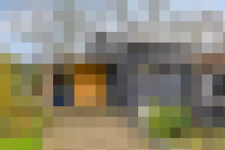 't Achterom 5 Sint-Oedenrode thumbnail 86