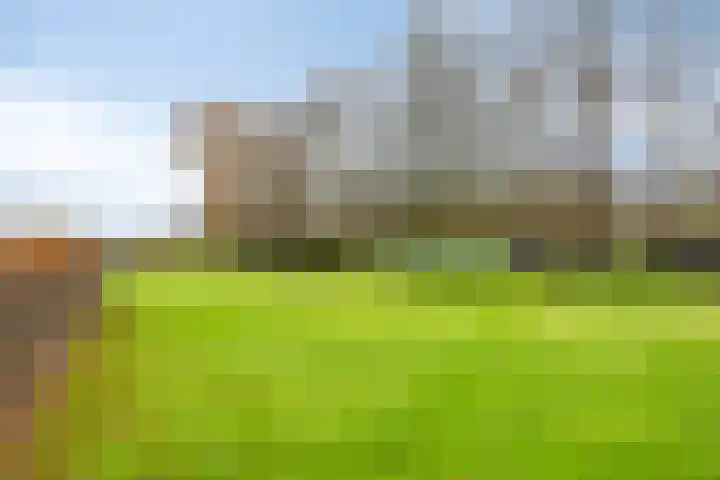 't Achterom 5 Sint-Oedenrode thumbnail 87
