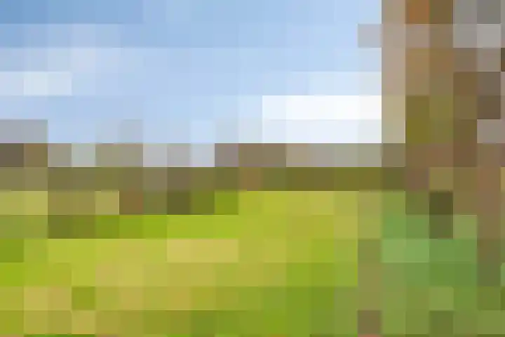 't Achterom 5 Sint-Oedenrode thumbnail 88