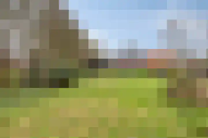 't Achterom 5 Sint-Oedenrode thumbnail 89