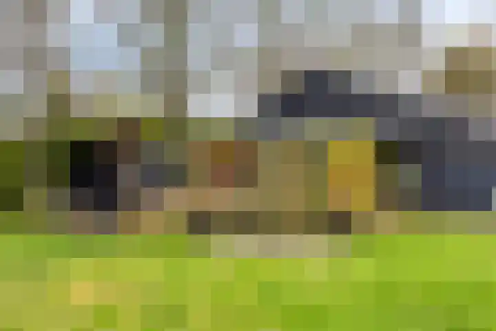 't Achterom 5 Sint-Oedenrode thumbnail 90