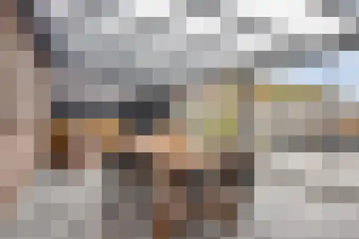 't Achterom 5 Sint-Oedenrode thumbnail 93