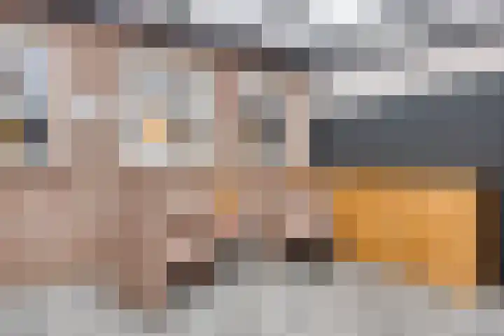't Achterom 5 Sint-Oedenrode thumbnail 94
