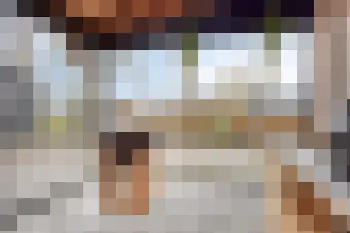 't Achterom 5 Sint-Oedenrode thumbnail 97