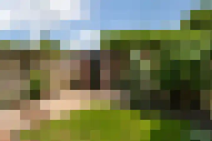 T.B. Huurmanlaan 37 Bussum thumbnail 17