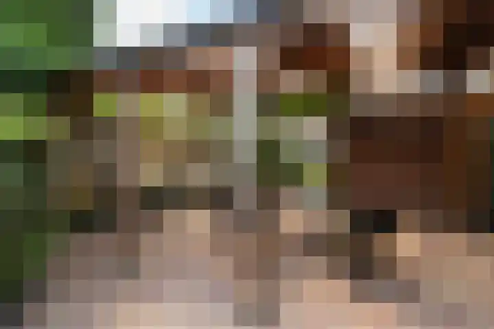 T.B. Huurmanlaan 37 Bussum thumbnail 19
