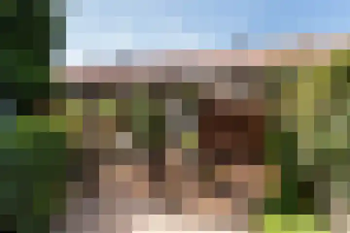 T.B. Huurmanlaan 37 Bussum thumbnail 20