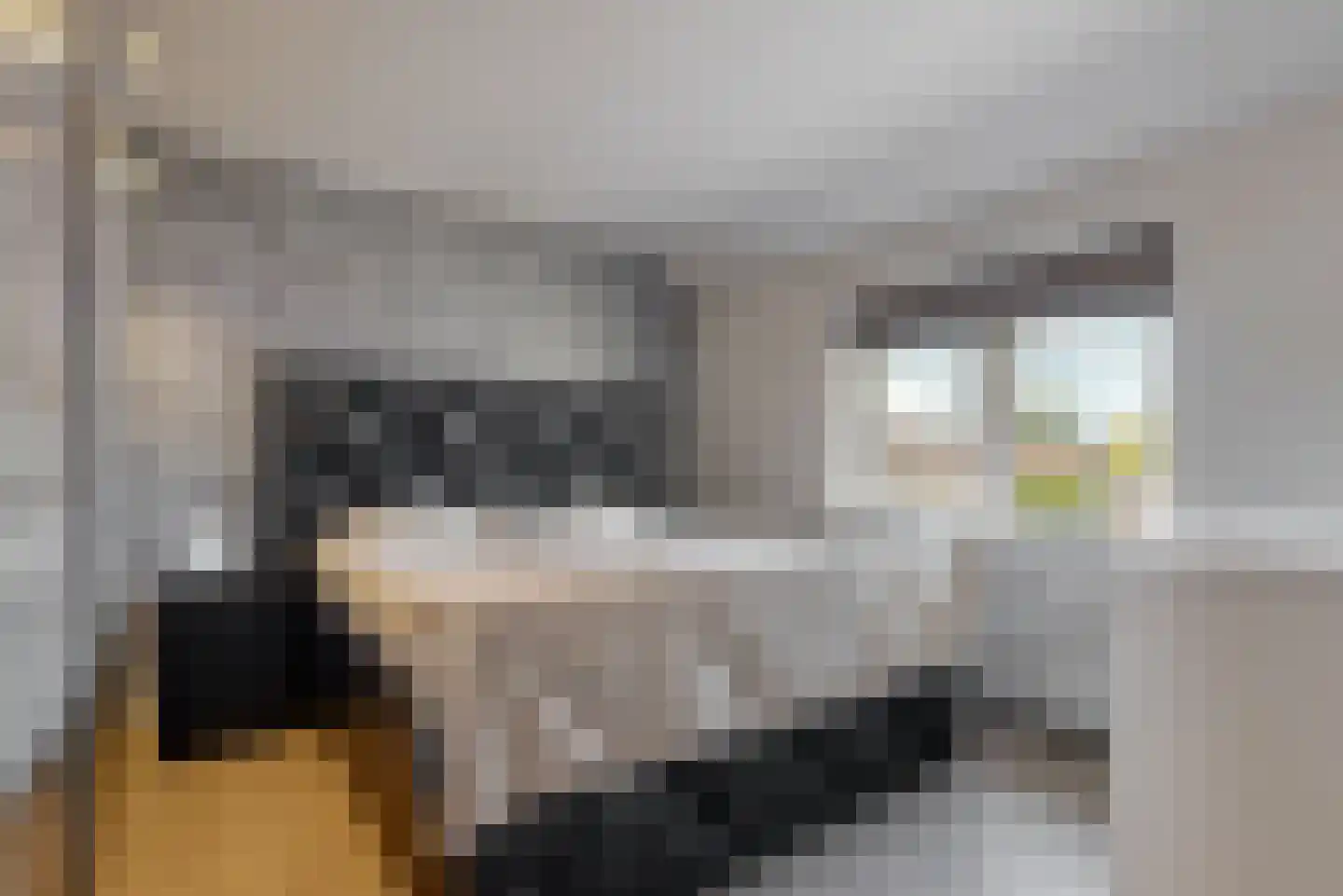 T.B. Huurmanlaan 6 Bussum thumbnail 18