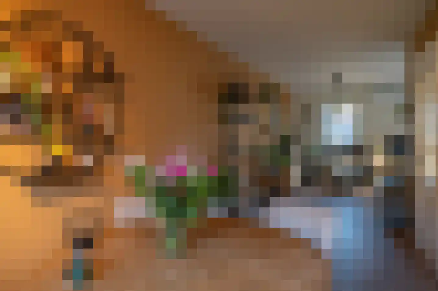 't Baaken 1 Baak thumbnail 13