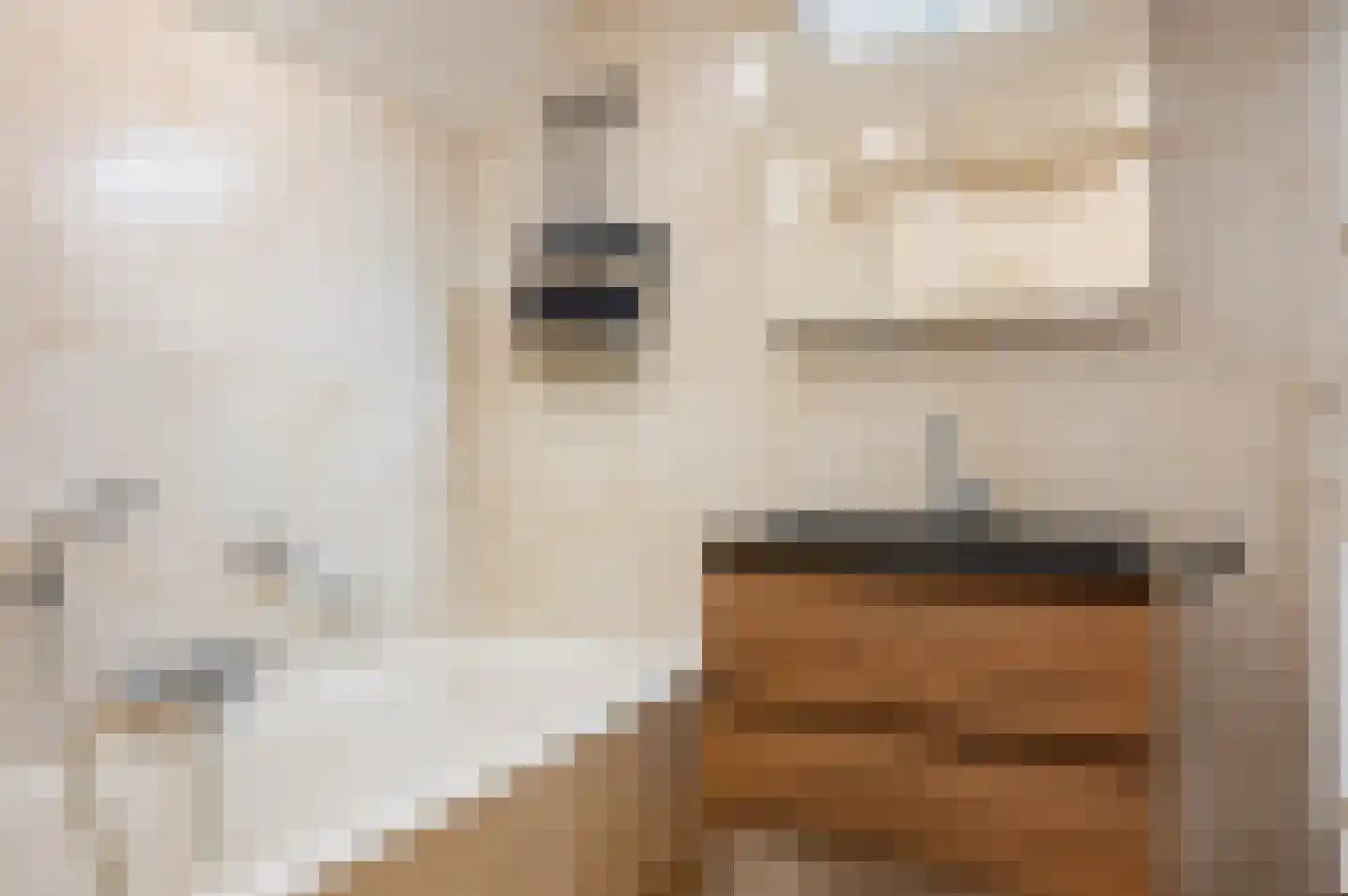 't Baaken 1 Baak thumbnail 25