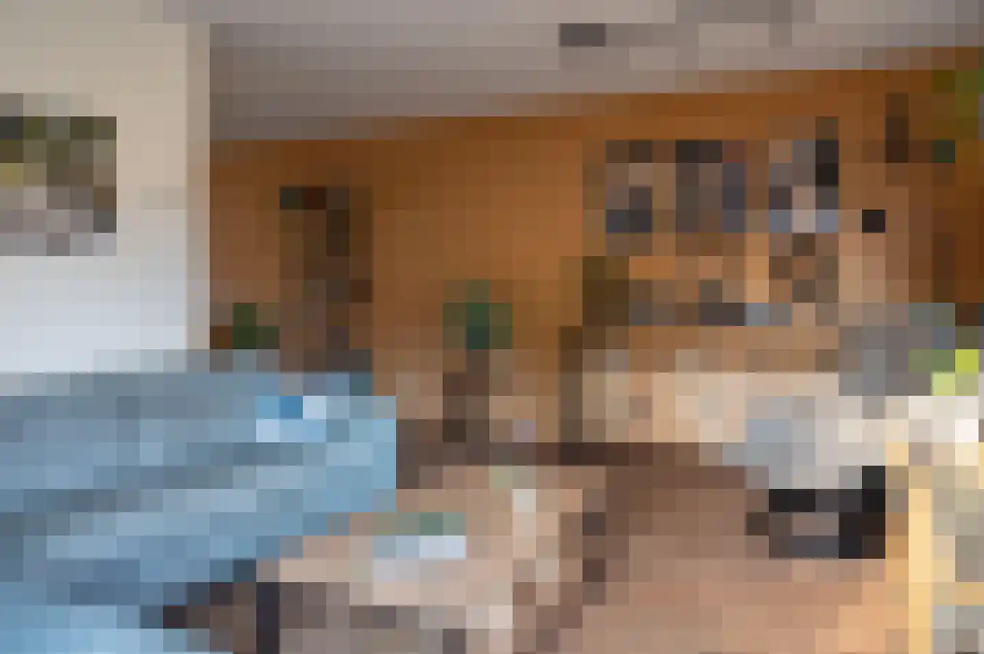 't Baaken 1 Baak thumbnail 8