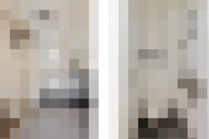 't Bakhuys 42 Westervoort thumbnail 10