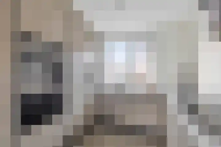 't Bakhuys 42 Westervoort thumbnail 17