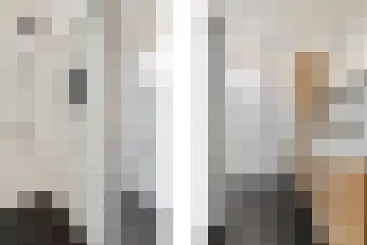 't Bakhuys 42 Westervoort thumbnail 35