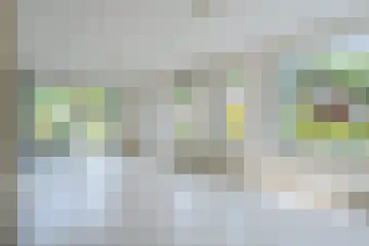 't Beusje 10 Vledder thumbnail 10