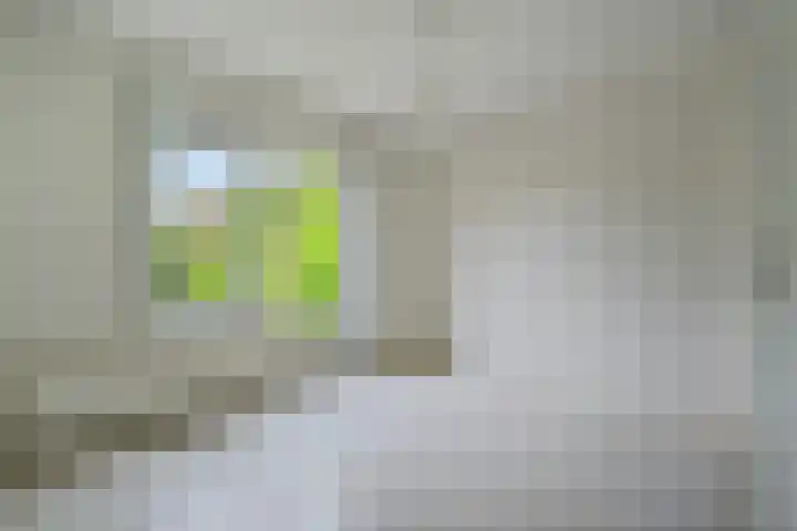't Beusje 10 Vledder thumbnail 12