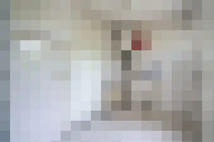 't Beusje 10 Vledder thumbnail 17
