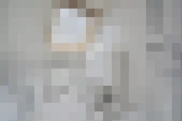 't Beusje 10 Vledder thumbnail 26