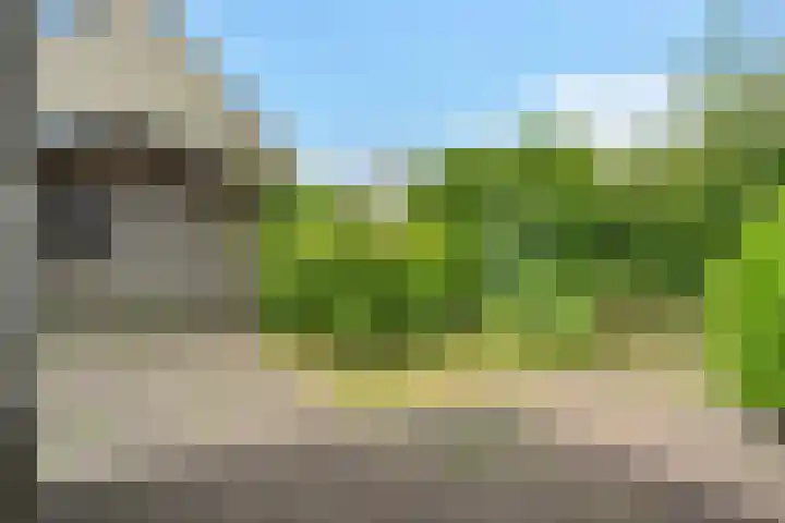 't Beusje 10 Vledder thumbnail 28