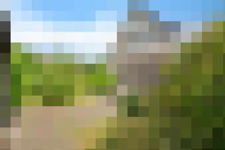 't Beusje 10 Vledder thumbnail 31