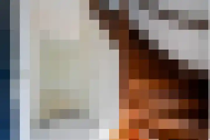 't Beusje 10 Vledder thumbnail 5