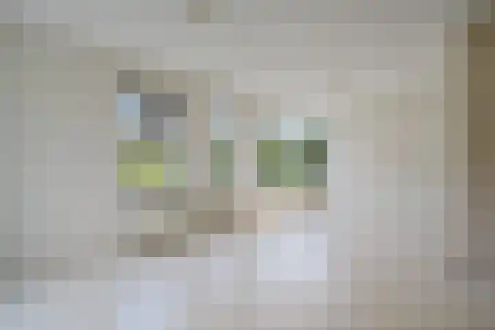 't Beusje 10 Vledder thumbnail 7