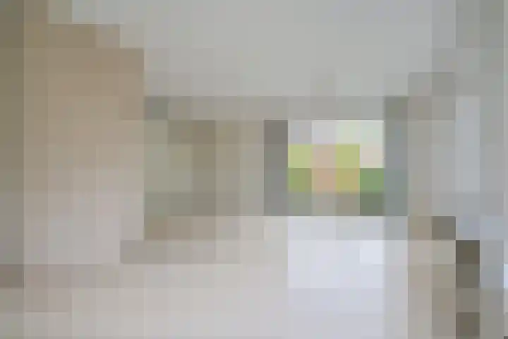 't Beusje 10 Vledder thumbnail 9