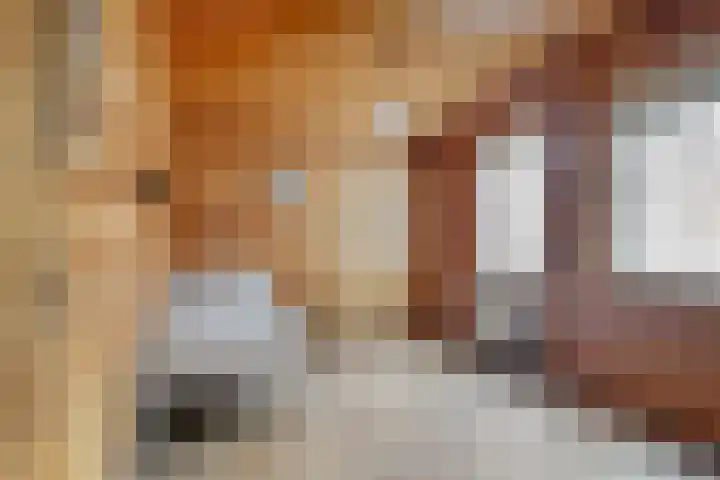 't Beusje 15 Vledder thumbnail 14