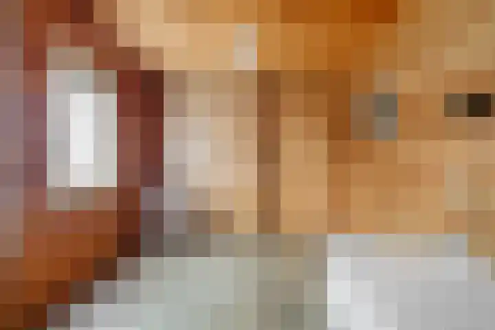 't Beusje 15 Vledder thumbnail 15