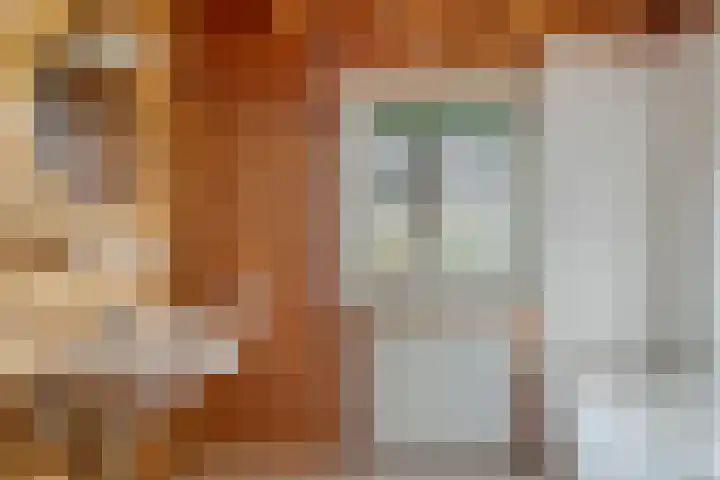 't Beusje 15 Vledder thumbnail 16