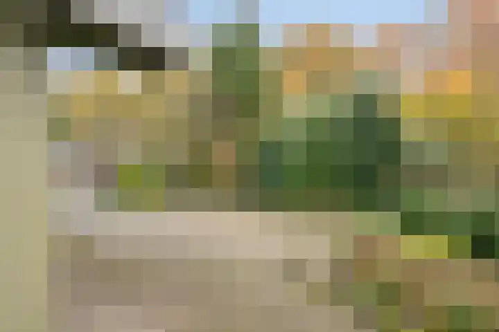 't Beusje 15 Vledder thumbnail 30
