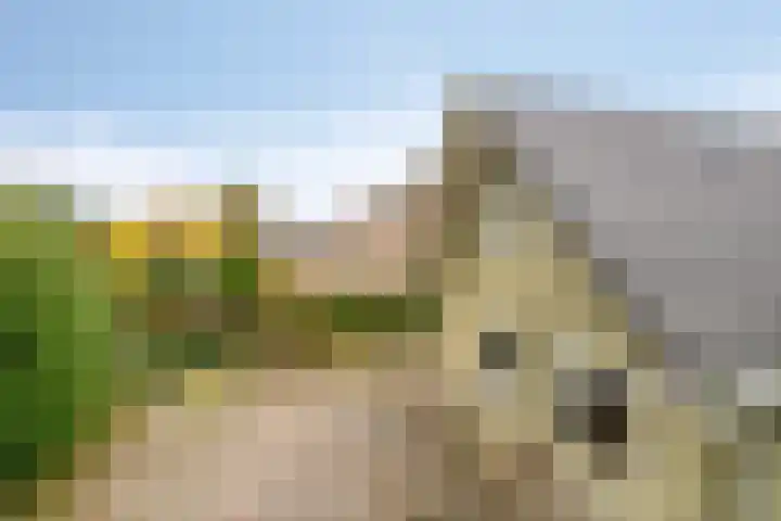 't Beusje 15 Vledder thumbnail 32