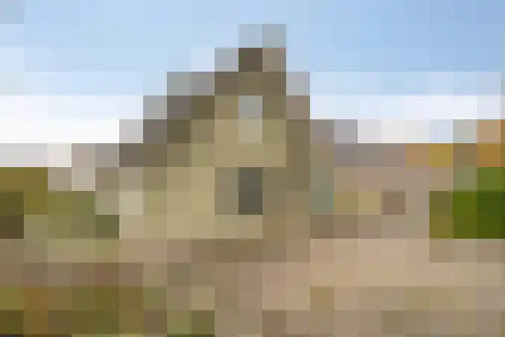 't Beusje 15 Vledder thumbnail 33