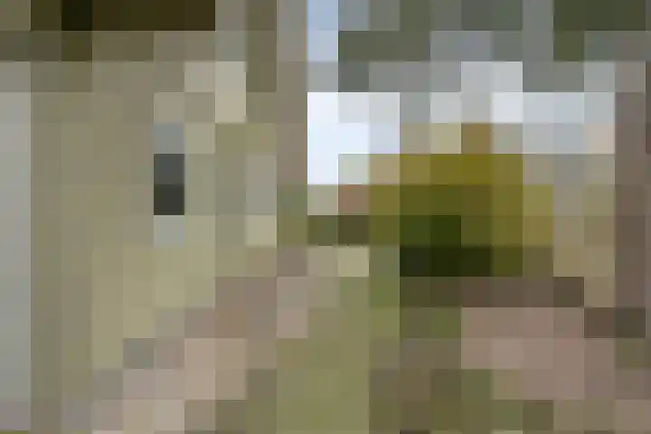 't Beusje 15 Vledder thumbnail 35