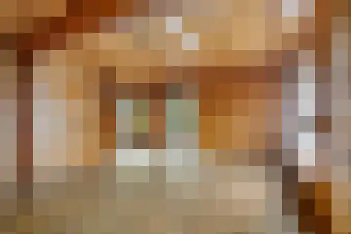 't Beusje 15 Vledder thumbnail 7