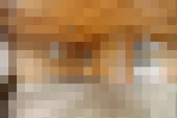 't Beusje 15 Vledder thumbnail 8