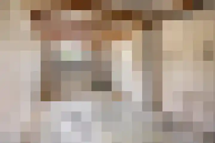 't Beusje 21 Vledder thumbnail 11