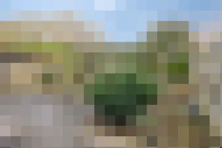't Beusje 21 Vledder thumbnail 24