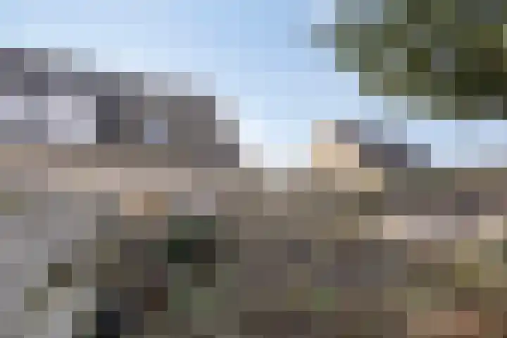 't Beusje 21 Vledder thumbnail 26