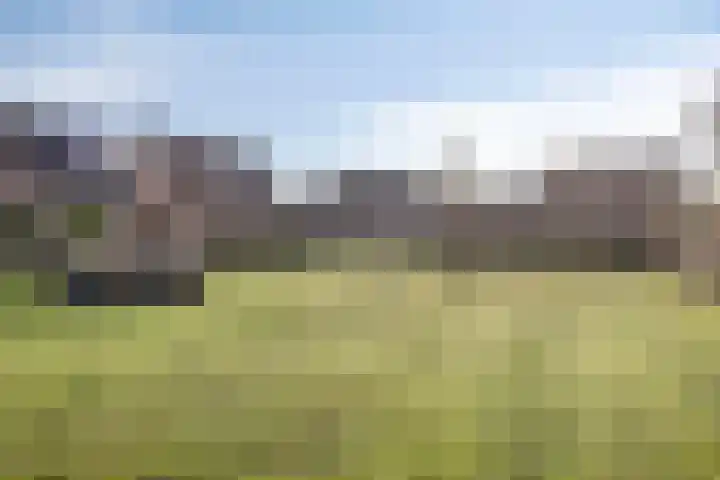 't Beusje 21 Vledder thumbnail 28
