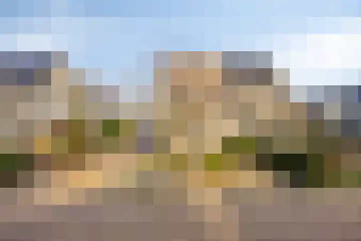 't Beusje 21 Vledder thumbnail 30