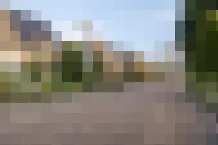 't Beusje 21 Vledder thumbnail 31