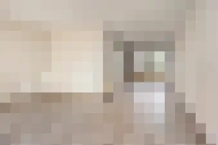 't Beusje 21 Vledder thumbnail 4
